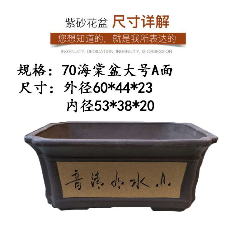 302c6e81-ba9f-4fbf-a84b-94988fb55a70.jpg