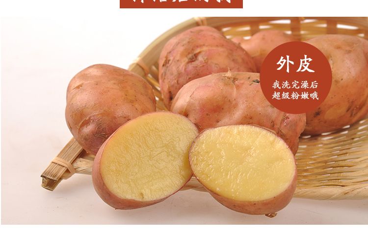 2020年云南高原新鲜现挖红皮黄心土豆5斤10斤洋芋马铃薯老品种