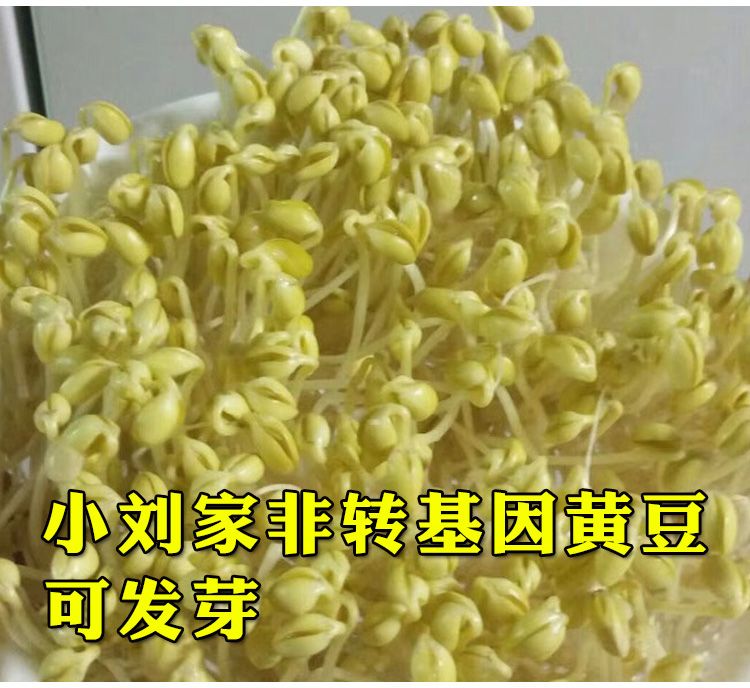 1a3a99e1-86ff-4f6d-87b0-3f9dbbcee4eb.jpg