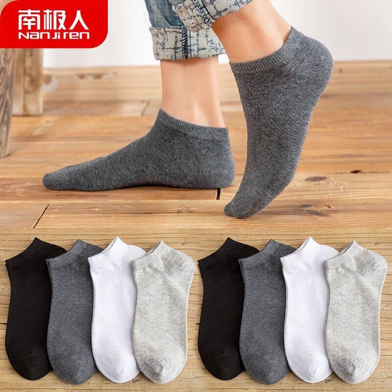 Antarctica cotton socks for men