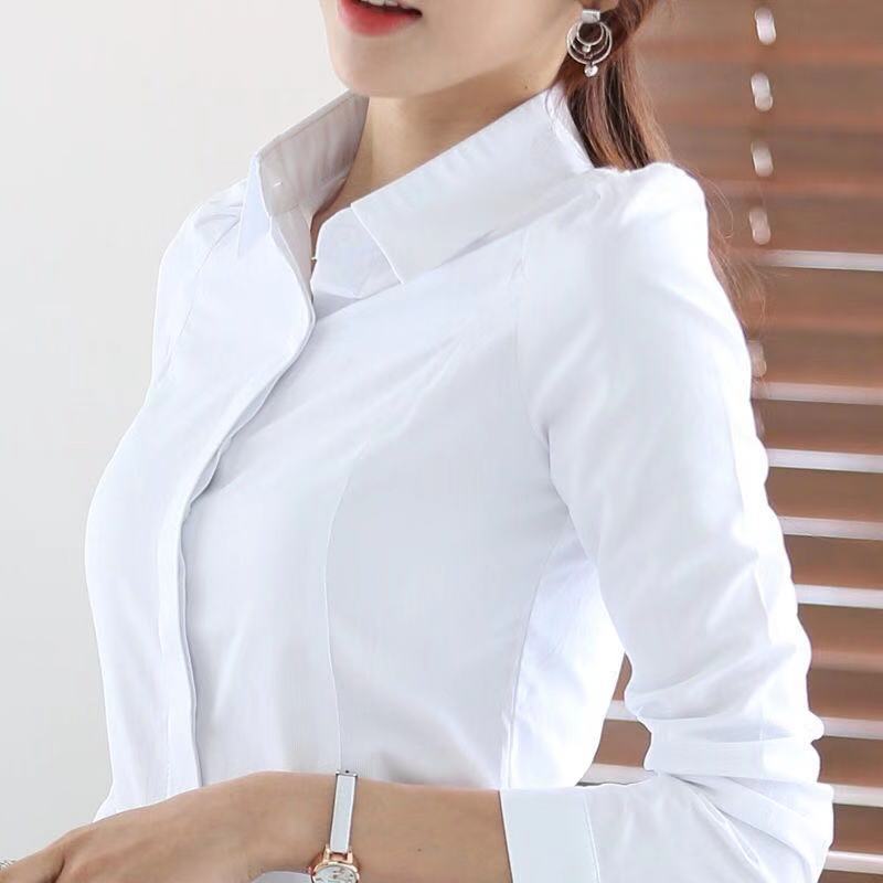 Women's white Long Sleeve autumn slim Korean student Cotton Shirt Short