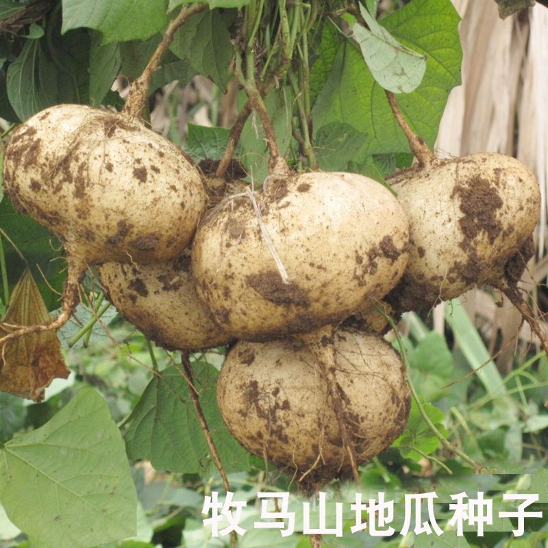 30ca8a63-62ce-4b28-919c-59562af9e883.jpg
