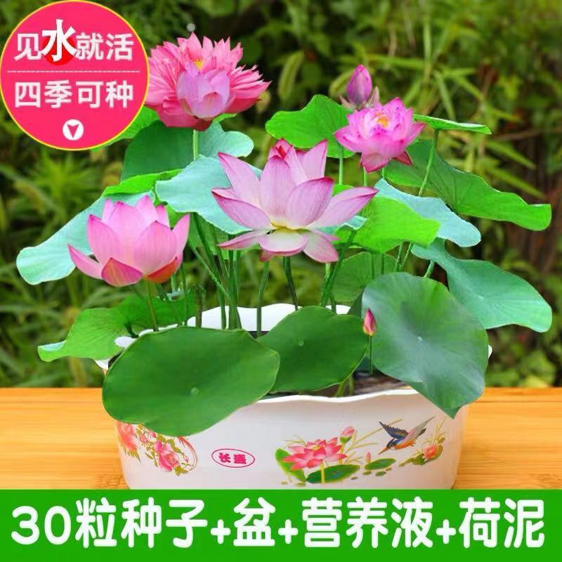 4e79b638-522a-4807-af6c-2b4c9d421c95.jpg