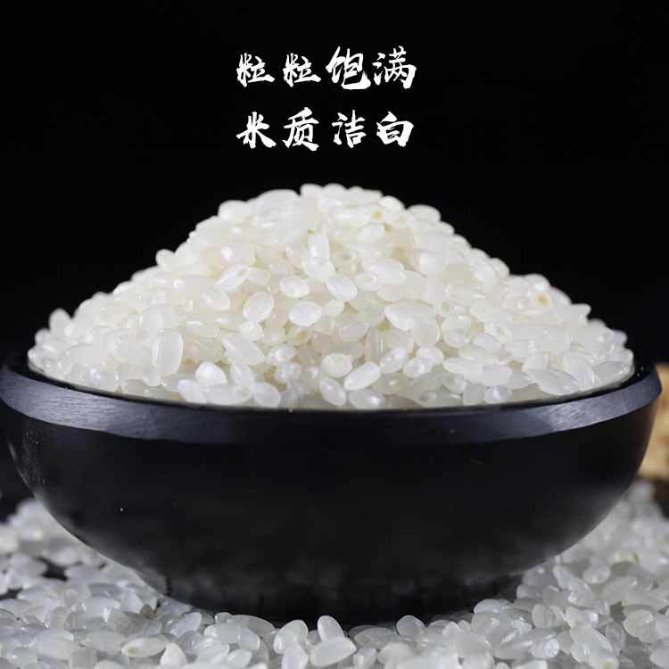 姿蕴东北大米10斤珍珠米5kg19年新米小町米东北大米10斤圆粒米