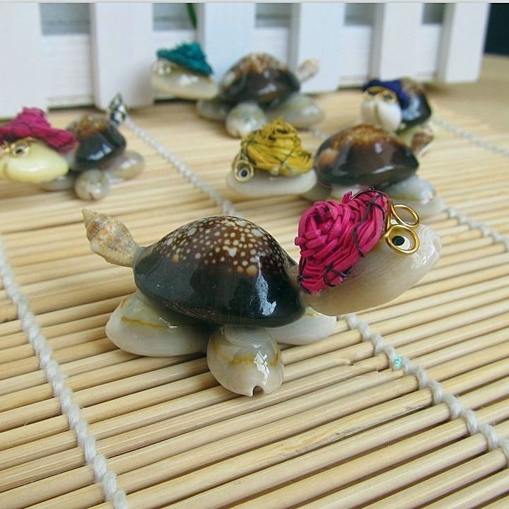 【五个装】海螺贝壳饰品工艺品旅游纪念品带眼镜仿真小乌龟地摊