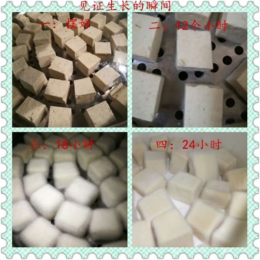 如何快速发酵臭豆腐 c9d191c2-d3ca-4a4e-95ae-3a2de4e98f88.jpg