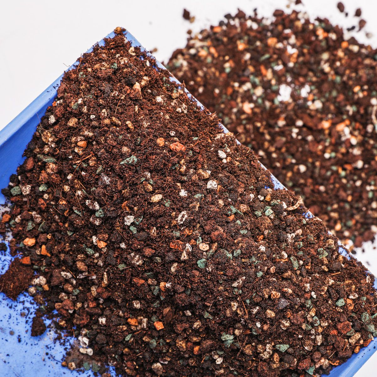 多肉种植土用营养土还是椰糠 f899e4cc-3f83-474e-a536-978045aba64c.jpg