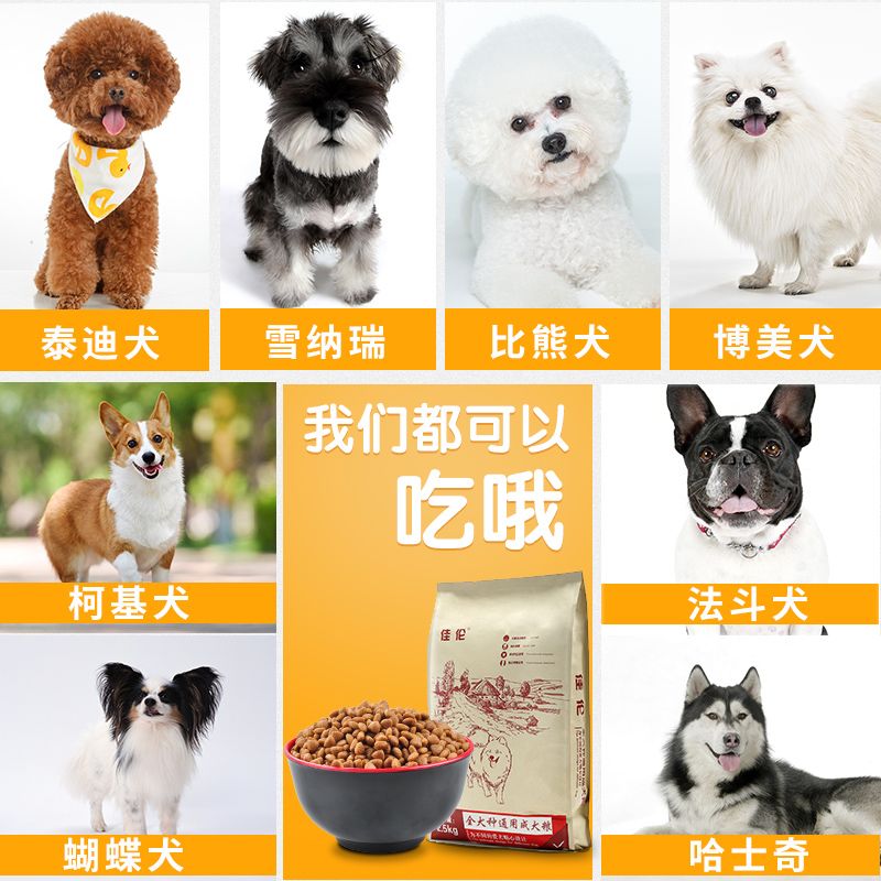 多少斤算小型犬 02193fe6-aeac-4157-ab30-a162d72d702a.jpg