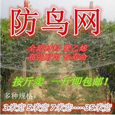 防鸟网果园防鸟网樱桃果树防鸟网尼龙网葡萄网防护网称重按斤卖