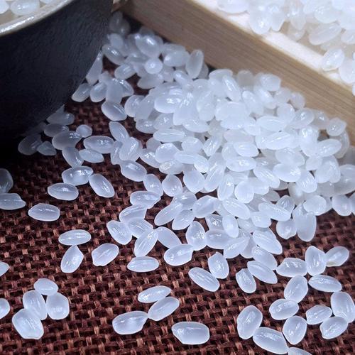 东北黑龙江庆安珍珠米香糯梗米煮粥特价便宜批发5kg