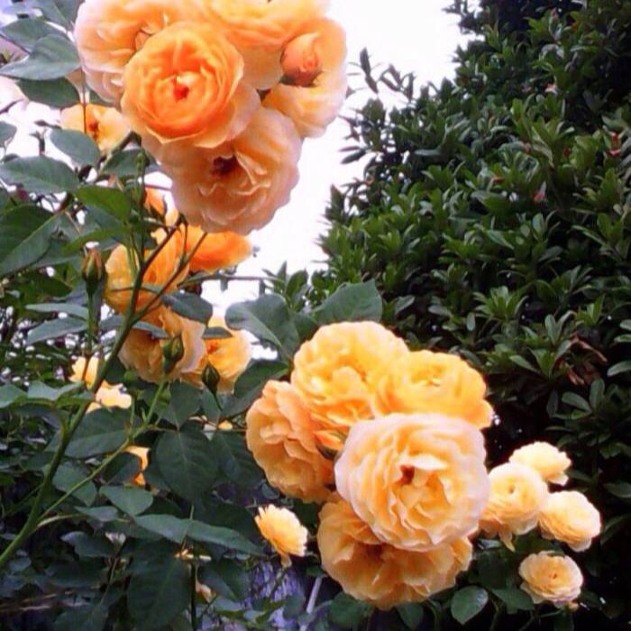902da904-f990-4d3c-8667-fbc74bcc5f04.jpeg