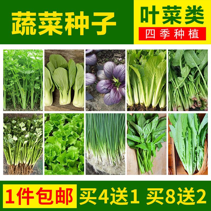 a6a1b556-7ba2-4815-9055-4db1d80ffcc6.jpg
