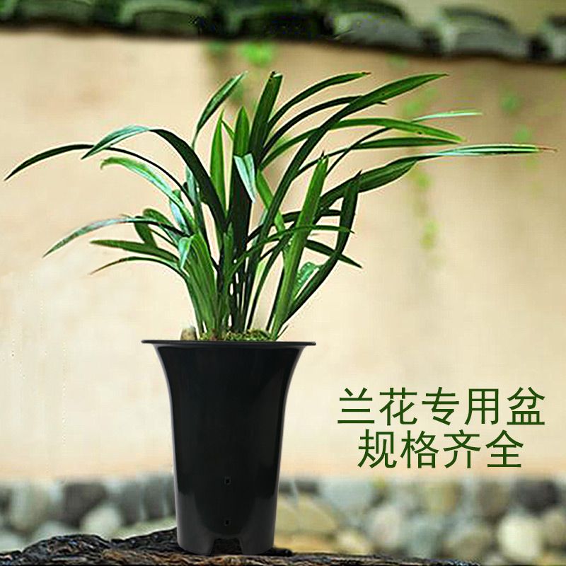 6cf8dcc3-7e84-43d4-b5bc-f32ff940d30b.jpg