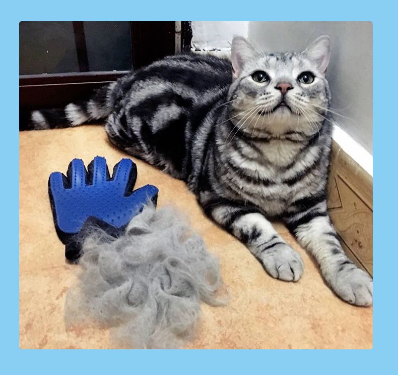撸猫手套宠物猫咪用品梳子猫梳毛刷狗毛梳脱毛梳撸毛神器除毛手套