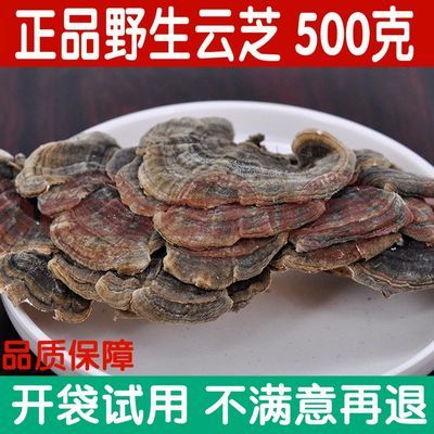 肺孢子菌肺炎诊断与治疗