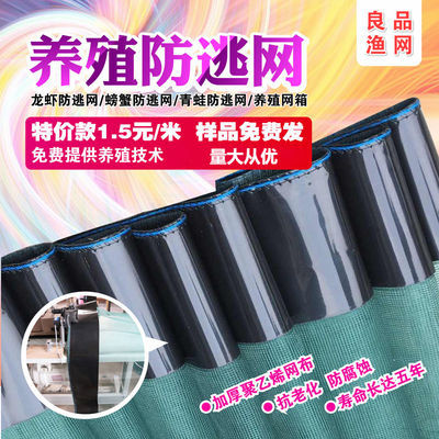 透气网龙