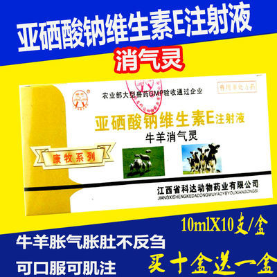 正版世实用肠扁虫病学