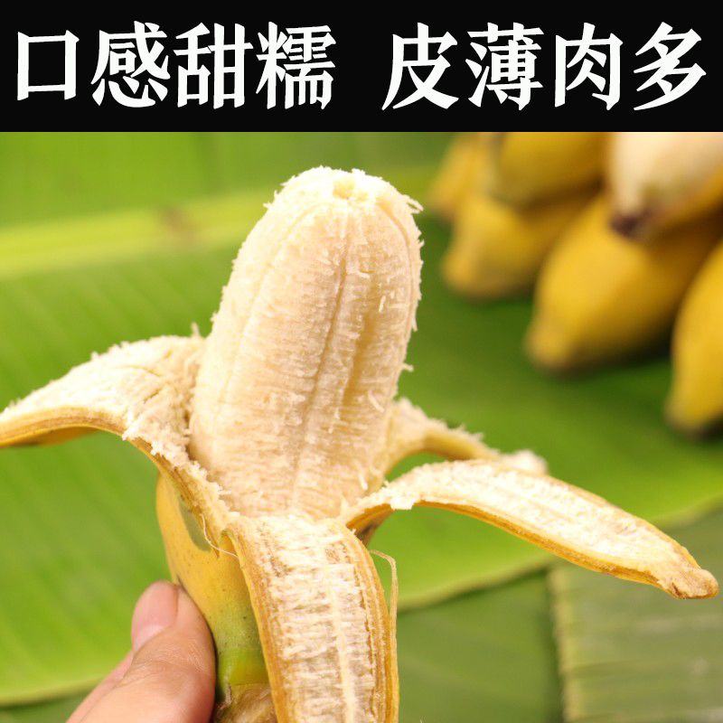 18878f74-a1c2-461c-a77d-37fb1a121675.jpg