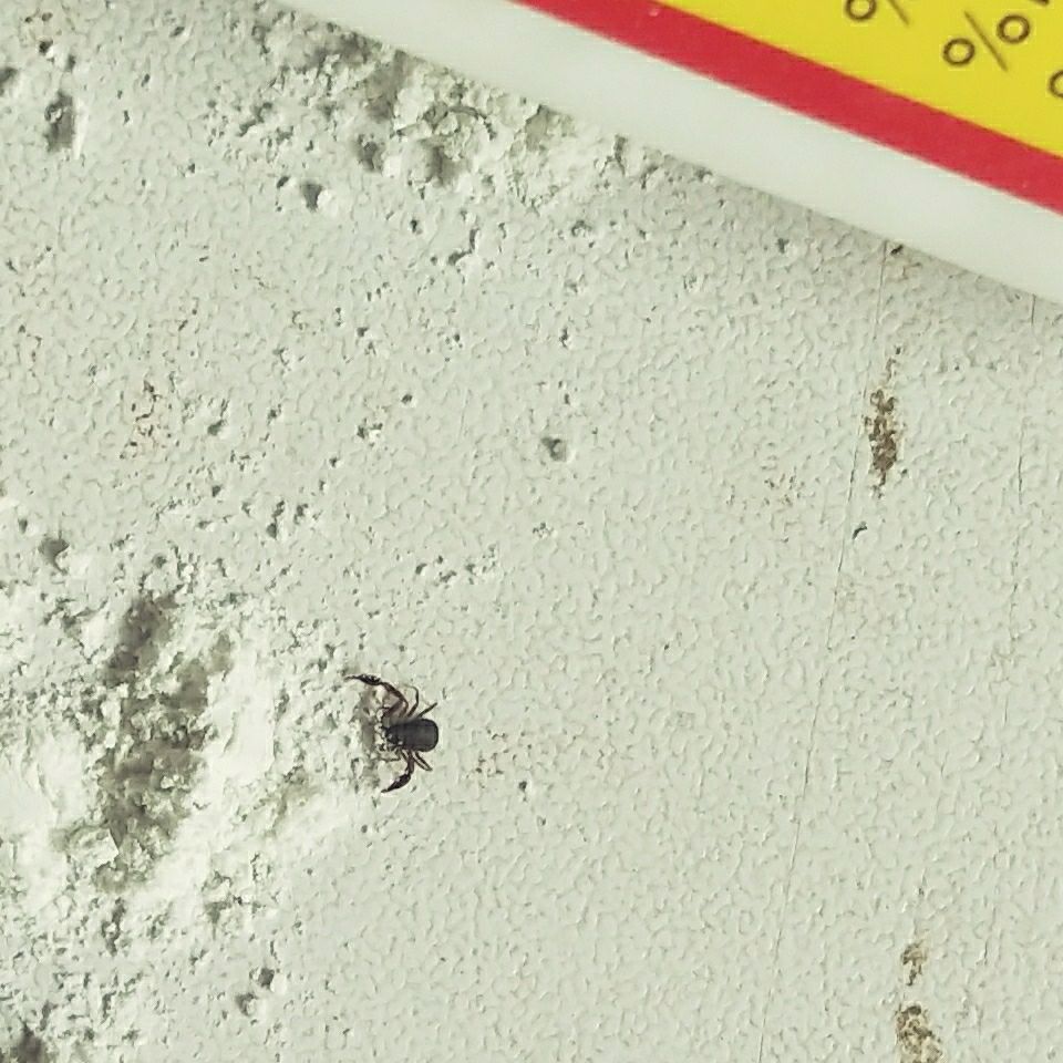 76c35fbe-45ed-4331-86ef-3cc05208e1ee.jpg