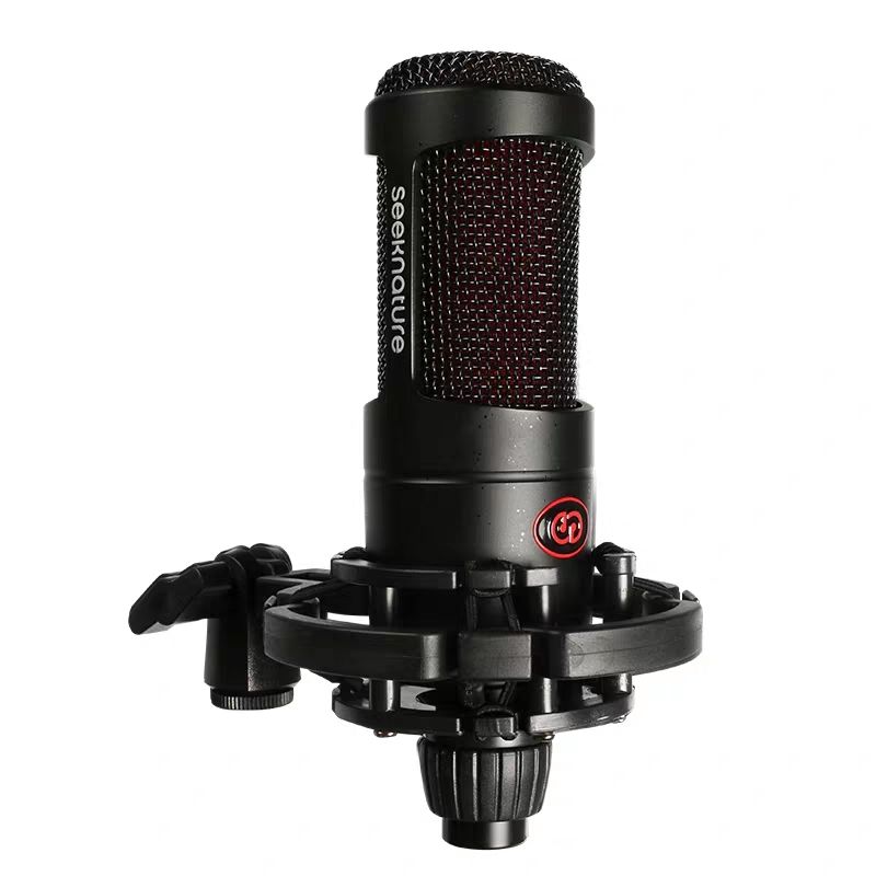 什么是电容麦和动圈麦 821ed95b-b2c5-4165-8a93-422525ae42b4.jpg