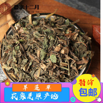 正版世实用肠扁虫病学