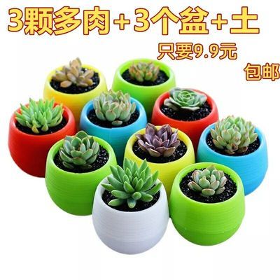 猫超怎么找包邮产品