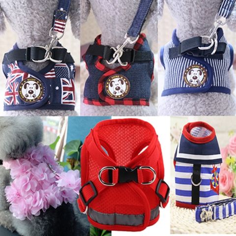 Dog cat leash walking dog leash pet chest strap Teddy small medium dog angel wing cat leash