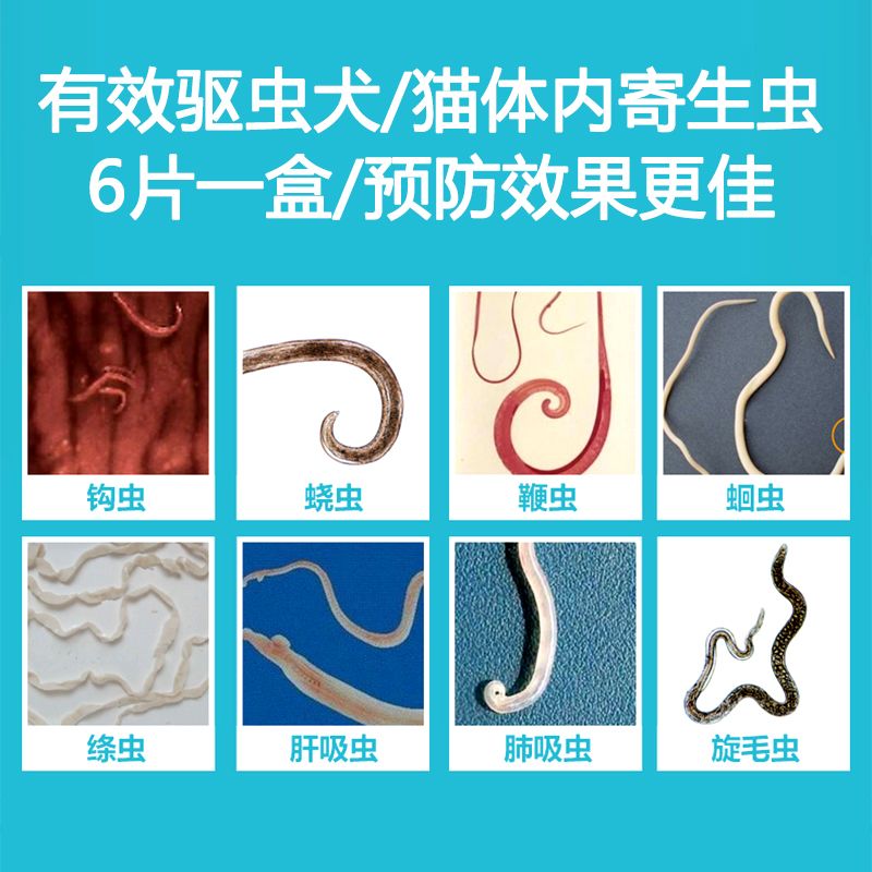 7d7497c4-b2f4-4fbb-a1b9-825ccde20ac0.jpg