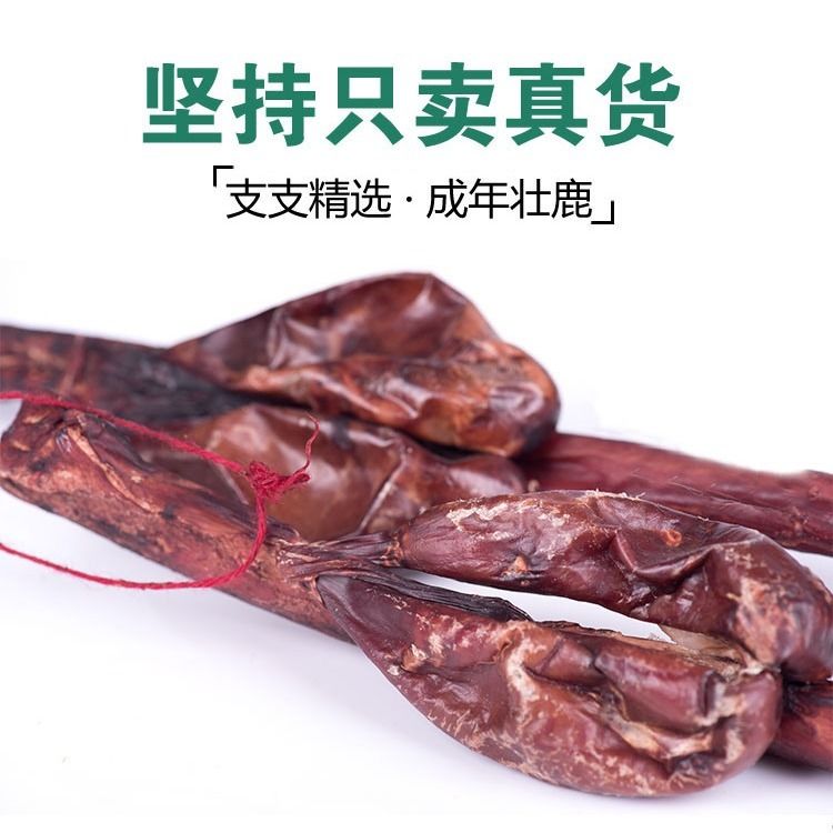 fa551a8d-b84c-4eb7-a196-140aae66c6f5.jpg