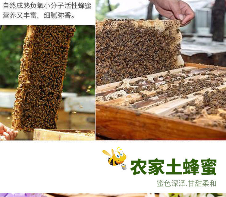 农家蜂蜜正品天然农家自产山花蜜洋槐百花蜜自家养天然峰蜜野生