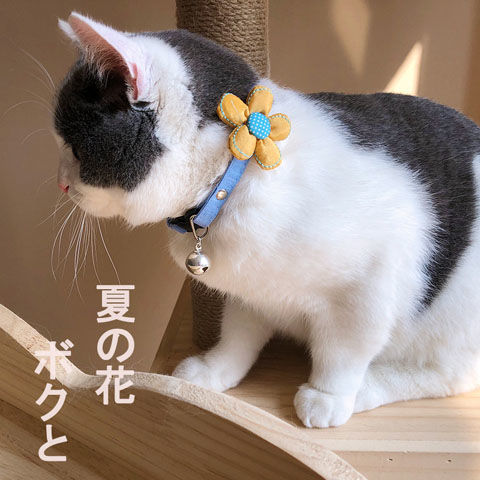 Handmade cat collar pet collar dog bell Teddy miniature dog kitten adjustable Flower Necklace collar