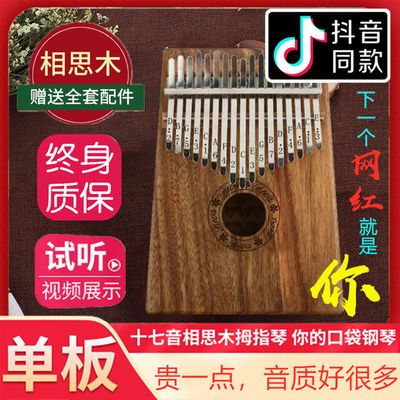 乐器之王钢琴小提琴琵琶