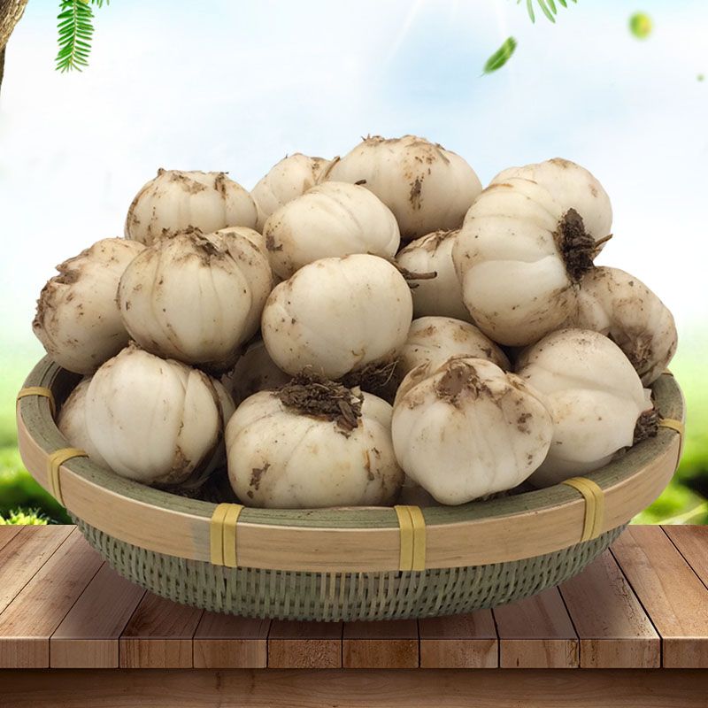 新货兰州新鲜百合 兰州百合甘肃农家食用甜百合天然无硫 新鲜蔬菜