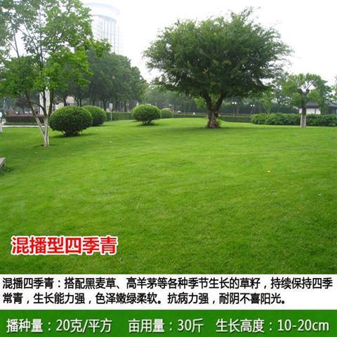f655d300-2a56-4c54-be83-3a2c29024ac8.jpeg