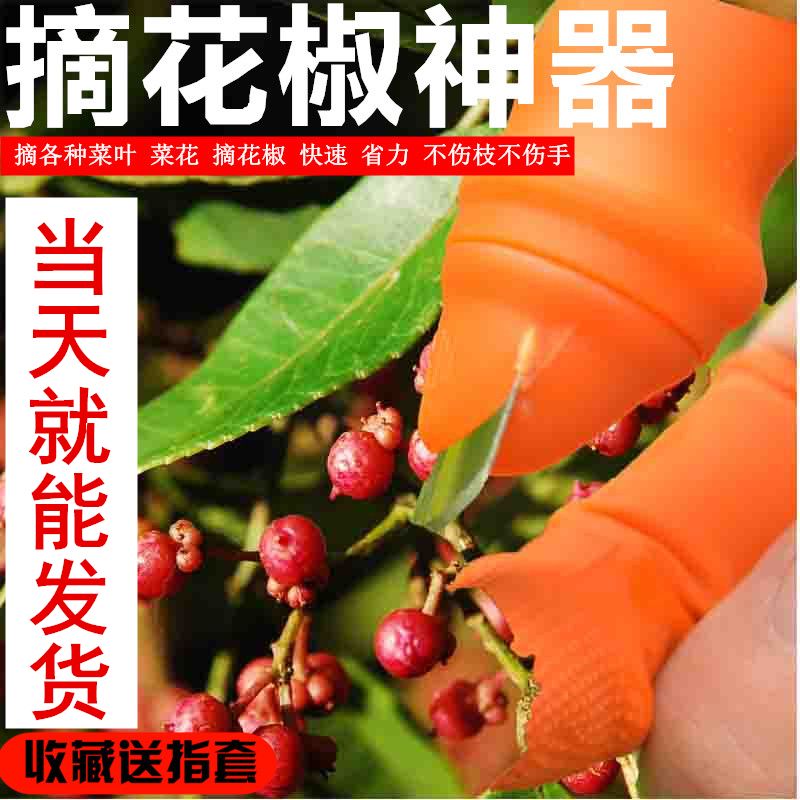 cda9592c-ce2d-4683-b4f1-4b49e77eec68.jpg