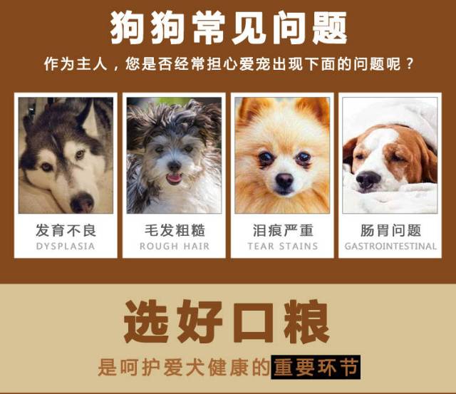多少斤是大中小型犬 70