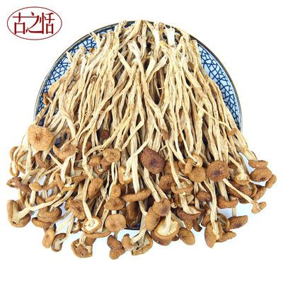 不开伞茶树菇干货批发鲜嫩包邮农家自产煲汤佳品