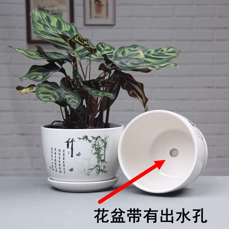 b0cd36a4-edf6-4b04-a7d9-a9d3dc48a6d2.jpg