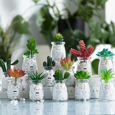 北欧盆栽ins风假多肉仿真植物简约装饰花桌面绿植小摆件室内客厅