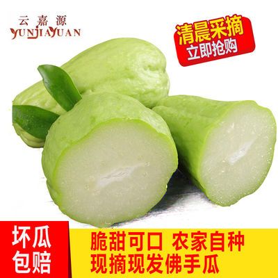 云南农家自种洋瓜佛手瓜5-10斤千金瓜安寿瓜丰收瓜合手瓜_拼多多返利优惠券 - 一起惠返利网_178hui.com