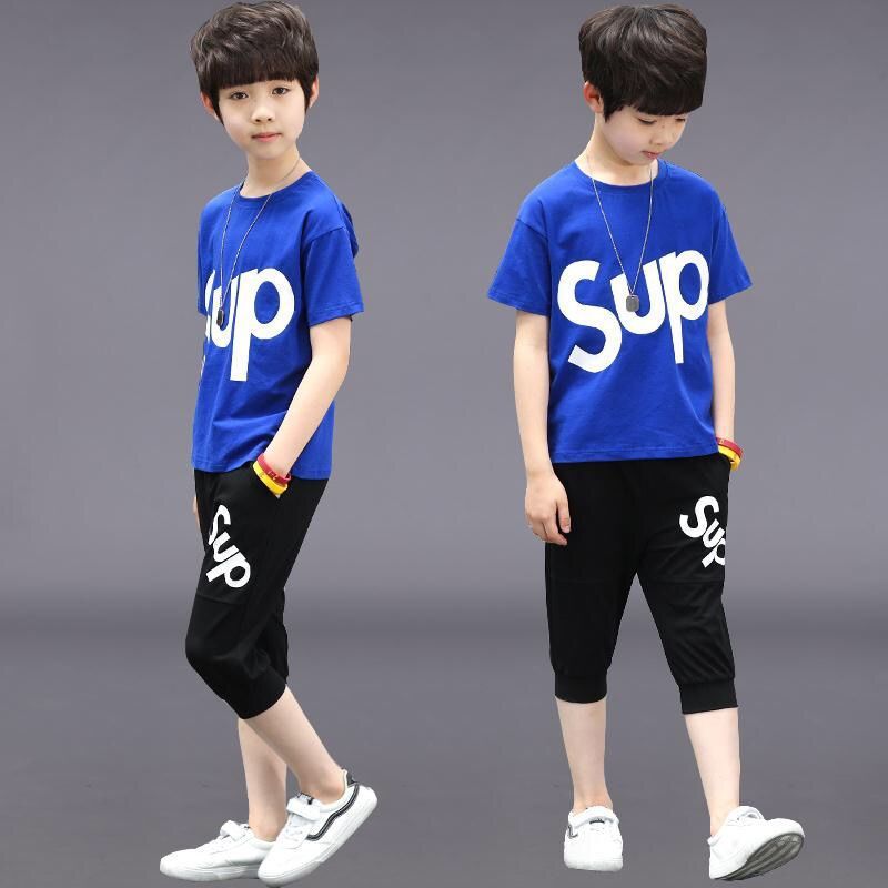 Children's wear men's spring and autumn Summer Cotton 2020 new 3 children's 4 Korean version 5 Sports 6 fashionable 9-10 years old suit
