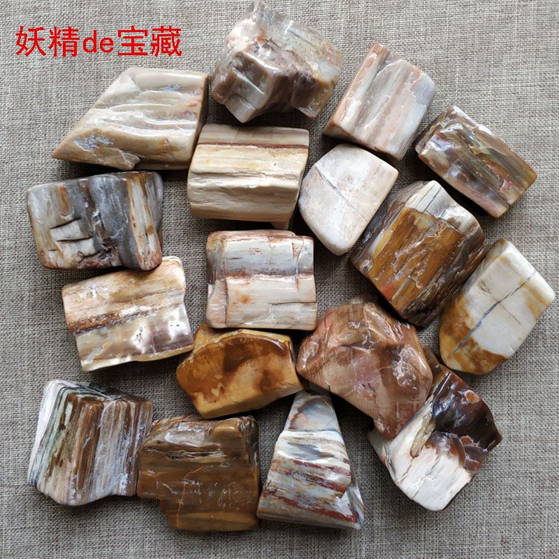 天然大塊木化石碎石3-4cm樹化玉原石礦石擺件魚缸花盆造景裝飾石