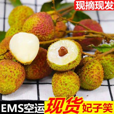 【EMS冷链空运】茂名高州荔枝新鲜妃子笑荔枝5斤10斤当季孕妇水果【预售:5月30日发完】_拼多多返利优惠券 - 一起惠返利网_178hui.com