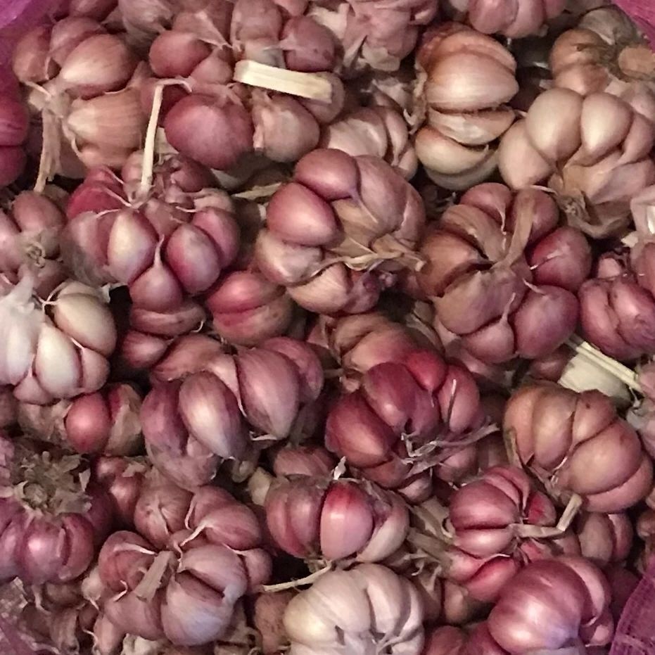 蒜头怎么做才香 e43fdd1f-c2cd-4717-b4d9-3d3e025562c8.jpg