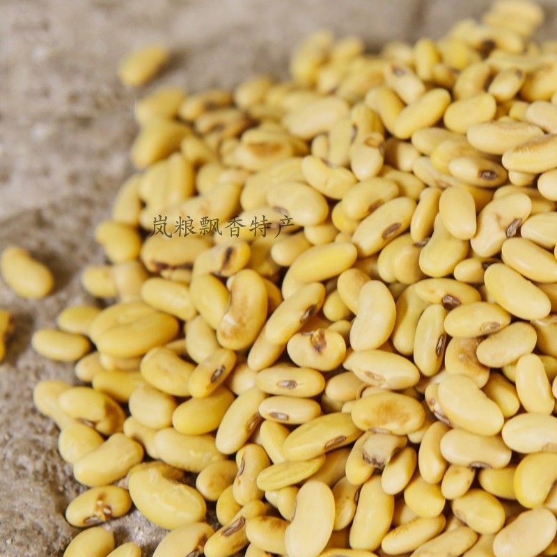 怎样种黄豆豆芽小学生 c23d84be-0d24-41fa-9809-a40ac5e3c745.jpg