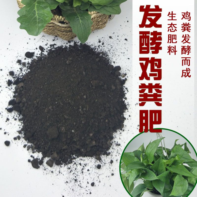6b6804eb-0401-424c-8e49-7c52ad1b83fe.jpg