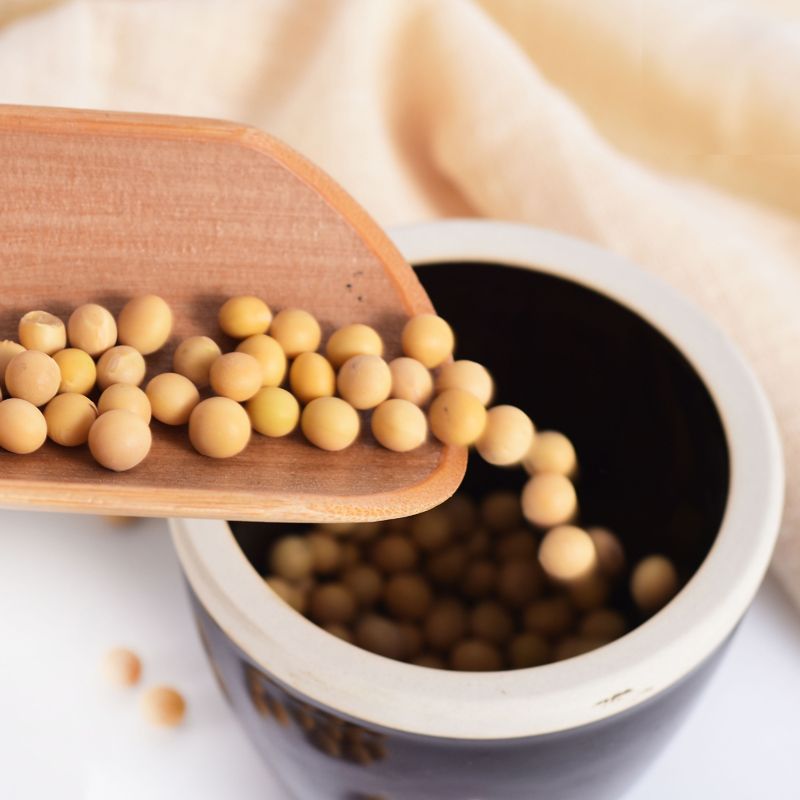 2斤5斤东北农家新小粒笨黄豆大豆可发豆芽豆腐豆浆非转基因