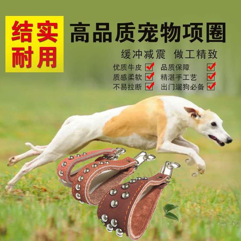 狗狗项圈格力灵缇惠比特脖套牛皮中小型犬格惠狗脖圈幼犬细犬