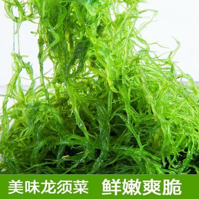 【綠色純天然】野生龍鬚菜 新鮮海髮菜火鍋菜即食海藻菜海草500g