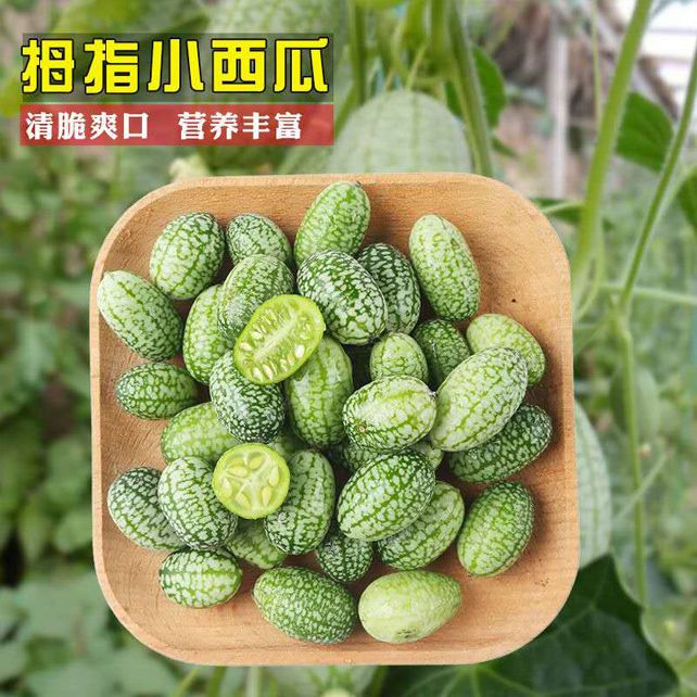 当季新鲜水果 网红迷你小西瓜 绿瓤拇指西瓜佩普基诺 1/2/4盒包邮